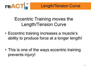 Length/Tension Curve


     Eccentric Training moves the
        Length/Tension Curve
• Eccentric training increases a muscle’s
  ability to produce force at a longer length!

• This is one of the ways eccentric training
  prevents injury!

                                                 14
 