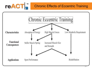Chronic Effects of Eccentric Training




                                  24
 