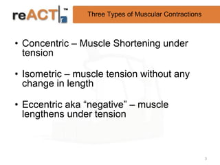 Three Types of Muscular Contractions



• Concentric – Muscle Shortening under
  tension

• Isometric – muscle tension without any
  change in length

• Eccentric aka “negative” – muscle
  lengthens under tension



                                                       3
 