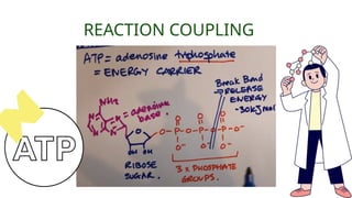REACTION COUPLING
 