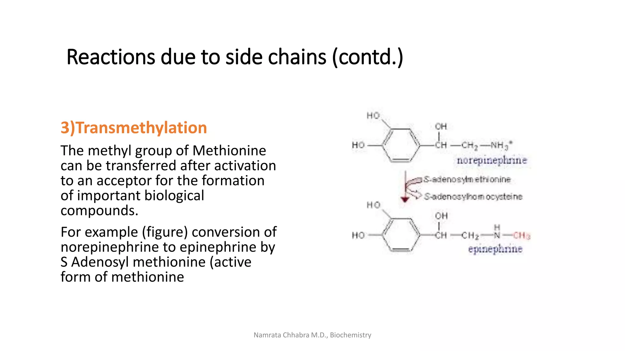 Reactions of amino acids | PPTX