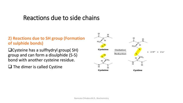 Reactions of amino acids