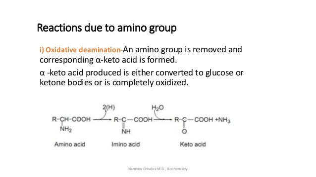 Reactions of amino acids