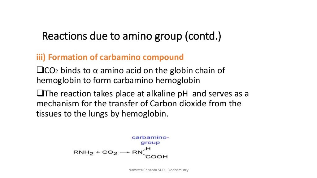 Reactions of amino acids