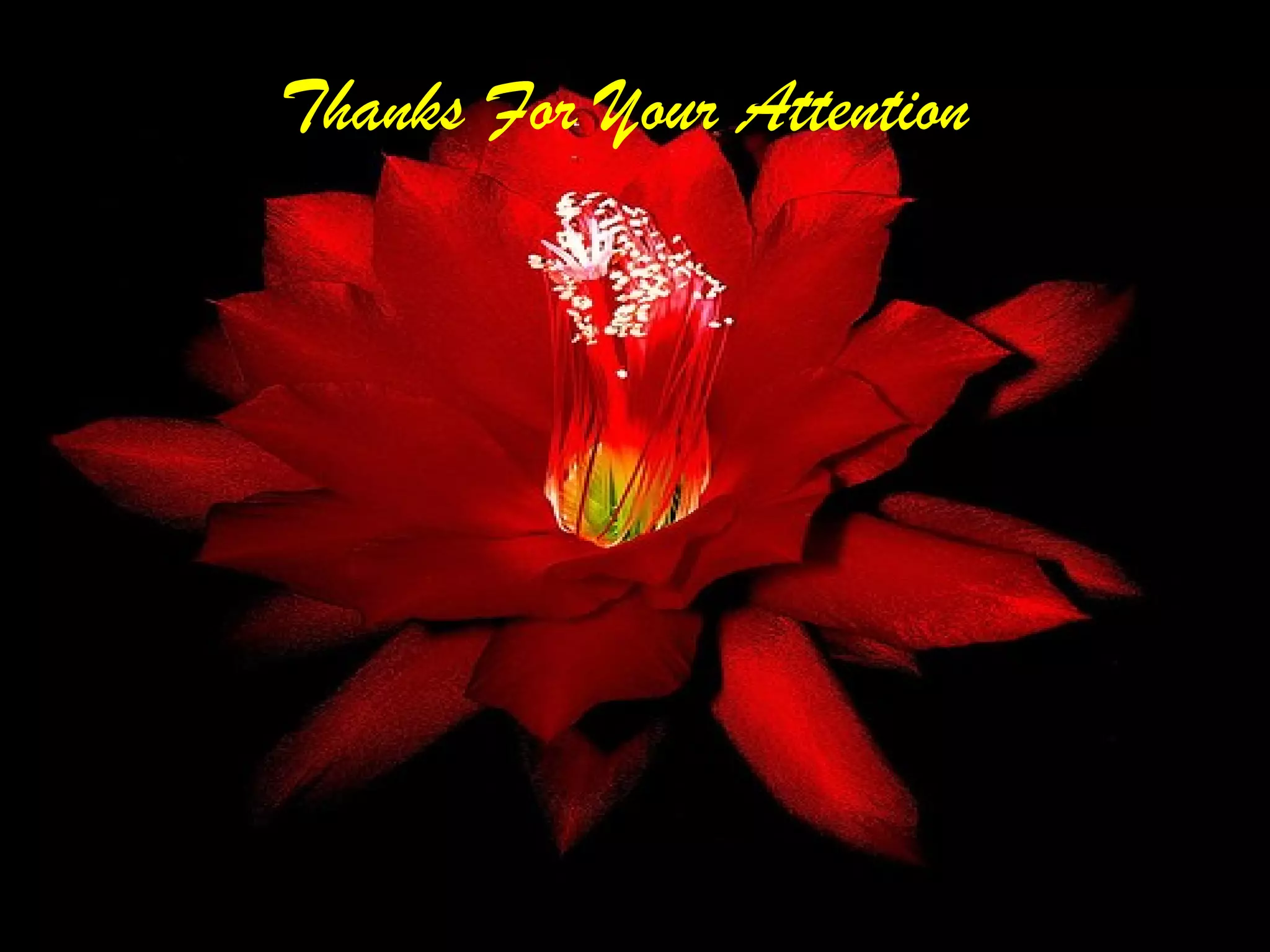 92
Thanks For Your Attention
 