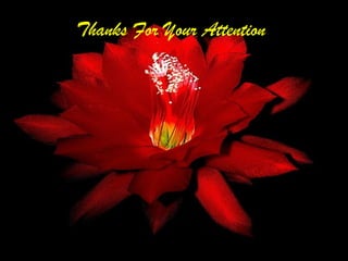 92
Thanks For Your Attention
 