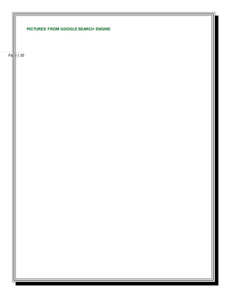 Page | 10
PICTURES FROM GOOGLE SEARCH ENGINE
 