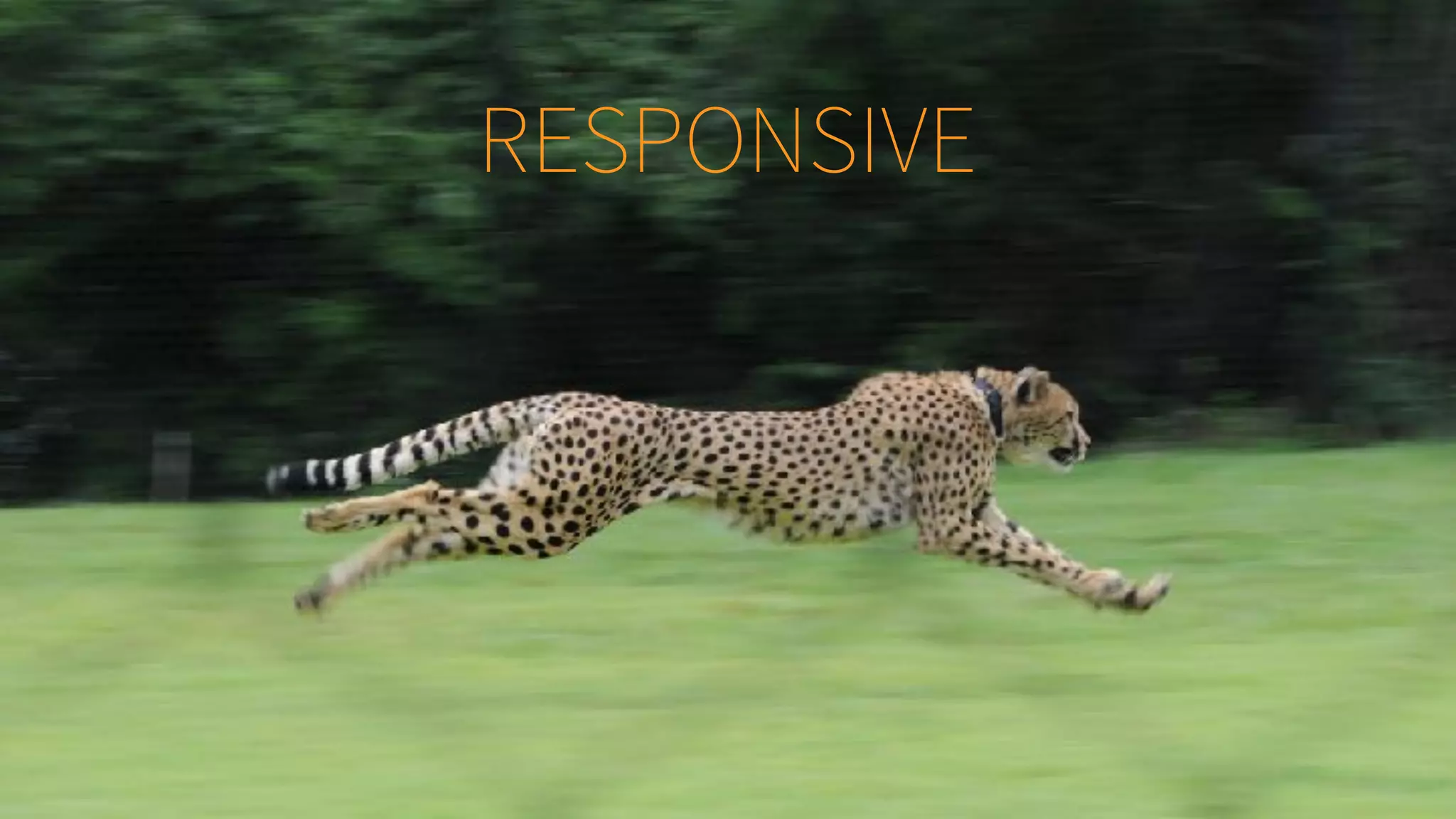 RESPONSIVE
 
