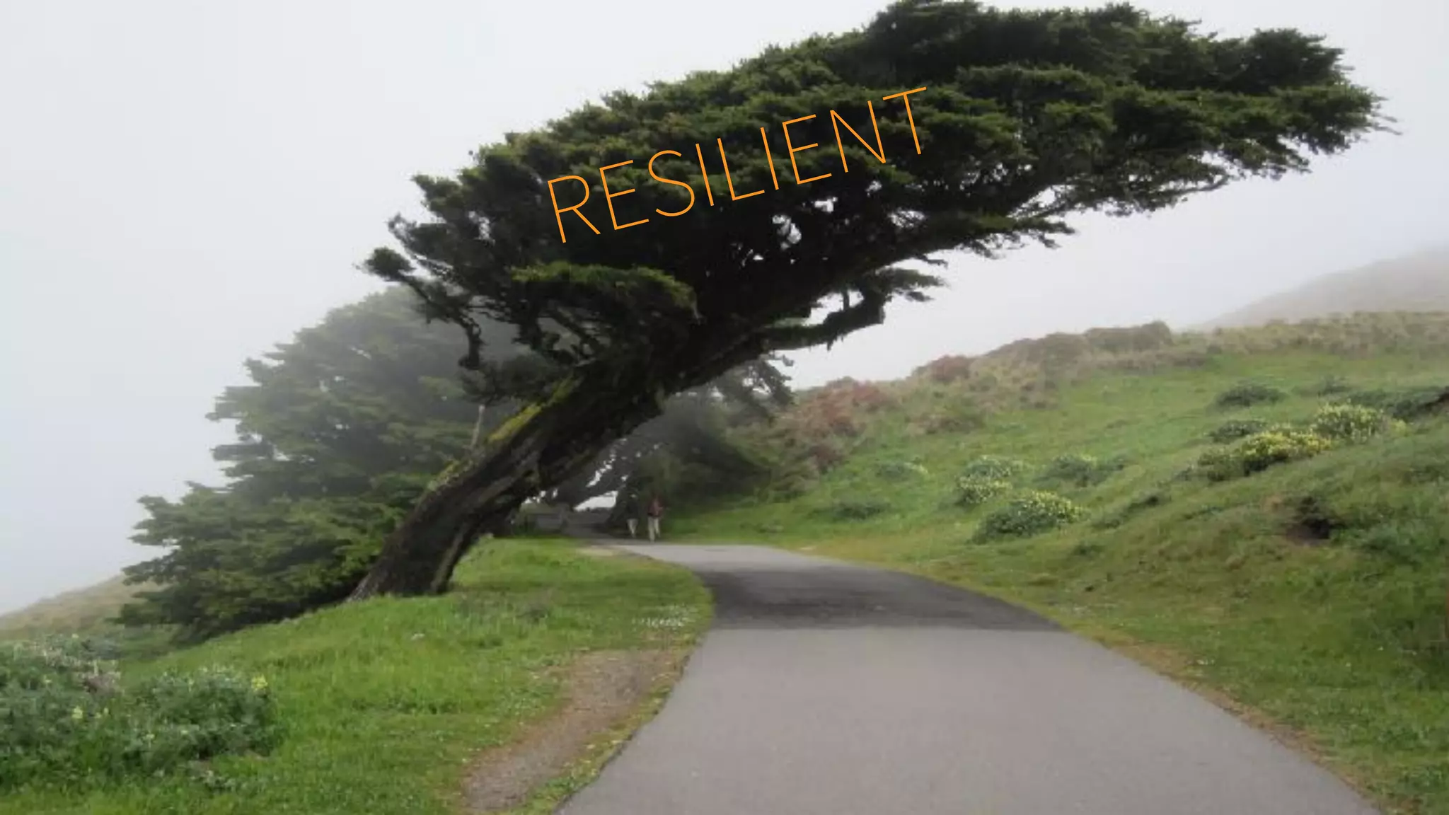 RESILIENT
 