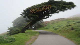 RESILIENT
 
