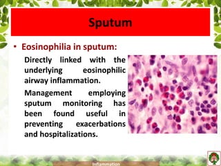 Sputum
• Eosinophilia in sputum:
Directly linked with the
underlying eosinophilic
airway inflammation.
Management employing
sputum monitoring has
been found useful in
preventing exacerbations
and hospitalizations.
Inflammation
 