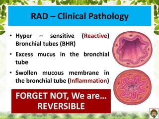 RAD – Clinical Pathology
• Hyper – sensitive (Reactive)
Bronchial tubes (BHR)
• Excess mucus in the bronchial
tube
• Swollen mucous membrane in
the bronchial tube (Inflammation)
FORGET NOT, We are…
REVERSIBLE
 