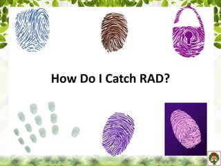 How Do I Catch RAD?
 