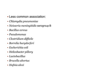 Less common association:
 Chlamydia pneumoniae
 Neisseria meningitidis serogroup B
 Bacillus cereus
 Pseudomonas
 Clostridium difficile
 Borrelia burgdorferi
 Escherichia coli
 Helicobacter pillory
 Lactobacillus
 Brucella abortus
 Hafnia alvei
 