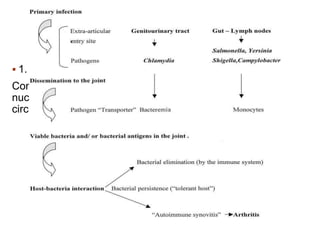  1. Microbes-host interaction.
Components of triggering bacteria includes protein and
nucleic acid. These can be found in the synovium and
circulatory monocytes.
 