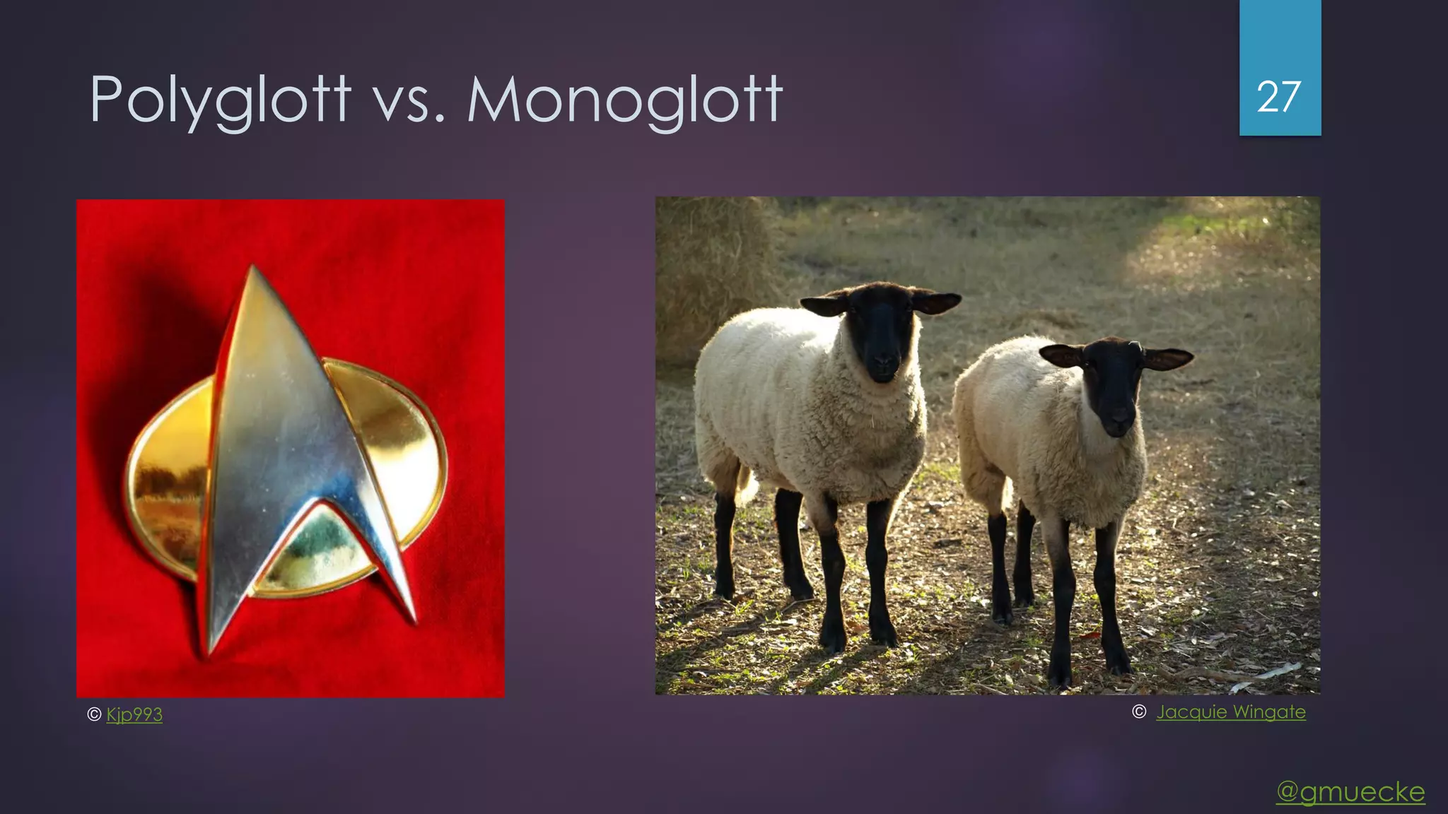 @gmuecke Polyglott vs. Monoglott 27 © Kjp993 © Jacquie Wingate 