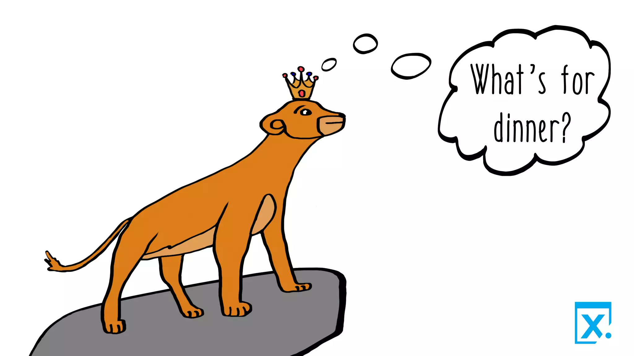 What’s for
dinner?
 