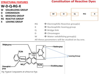 STRUCTURAL FEATURES
W-D-Q-RG-X
W SOLUBILIZING GROUP
D CHROMOGEN
Q BRIDGING GROUP
RG REACTIVE GROUP
X LEAVING GROUP
Leaving Group
 