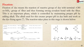 Fixation:
Fixation of dye means the reaction of reactive group of dye with terminal –OH
or-NH2- group of fiber and thus forming strong covalent bond with the fiber.
This is an important phase, which is controlled by maintaining proper pH by
adding alkali. The alkali used for this creates proper pH in dye bath and work as
the dye-fixing agent (7). The reaction takes place in this stage is shown below:
13
or
 