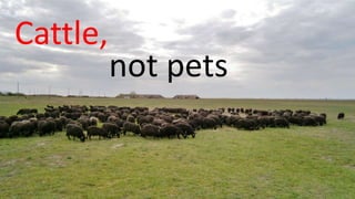 Cattle,
not pets
 