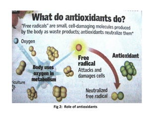 Fig 2: Role of antioxidants
 