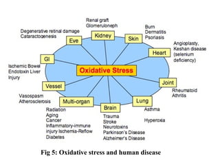 Fig 5: Oxidative stress and human disease
 