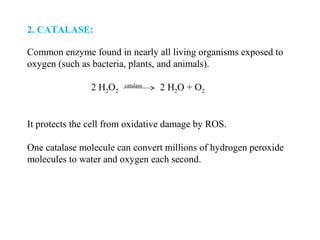 2. CATALASE:
Common enzyme found in nearly all living organisms exposed to
oxygen (such as bacteria, plants, and animals).
2 H2O2
catalase
2 H2O + O2
It protects the cell from oxidative damage by ROS.
One catalase molecule can convert millions of hydrogen peroxide
molecules to water and oxygen each second.
 