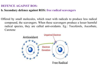DEFENCE AGAINST ROS:
b. Secondary defence against ROS: free radical scavengers
Offered by small molecules, which react with radicals to produce less radical
compound, the scavengers. When these scavengers produce a lesser harmful
radical species, they are called anti-oxidants. Eg.: Tocoferols, Ascorbate,
Carotene
 