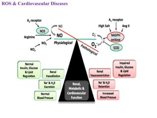 ROS & Cardiovascular Diseases
 