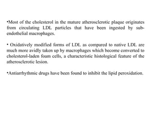•Most of the cholesterol in the mature atherosclerotic plaque originates
from circulating LDL particles that have been ingested by sub-
endothelial macrophages.
• Oxidatively modified forms of LDL as compared to native LDL are
much more avidly taken up by macrophages which become converted to
cholesterol-laden foam cells, a characteristic histological feature of the
atherosclerotic lesion.
•Antiarrhythmic drugs have been found to inhibit the lipid peroxidation.
 