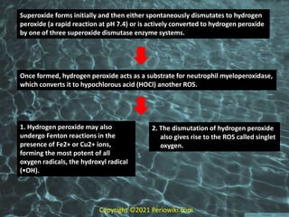 Hyperperoxide Rearrangement Reactive oxygen species and anti-oxidants | PPTX
