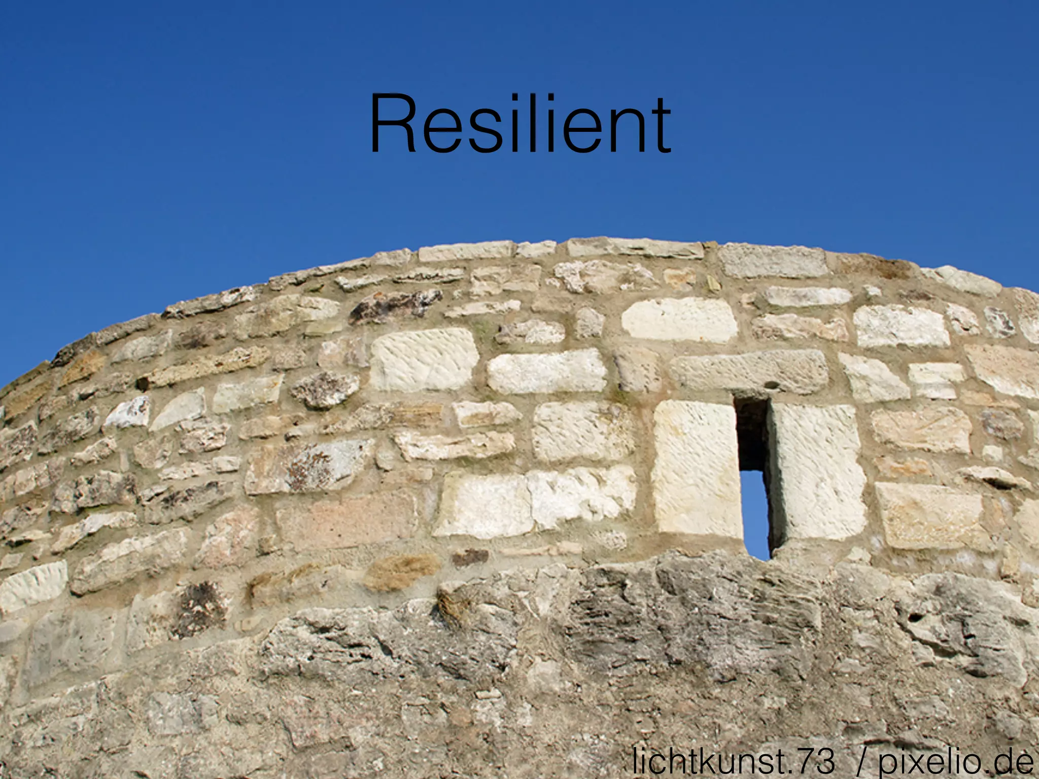 Resilient
lichtkunst.73 / pixelio.de
 