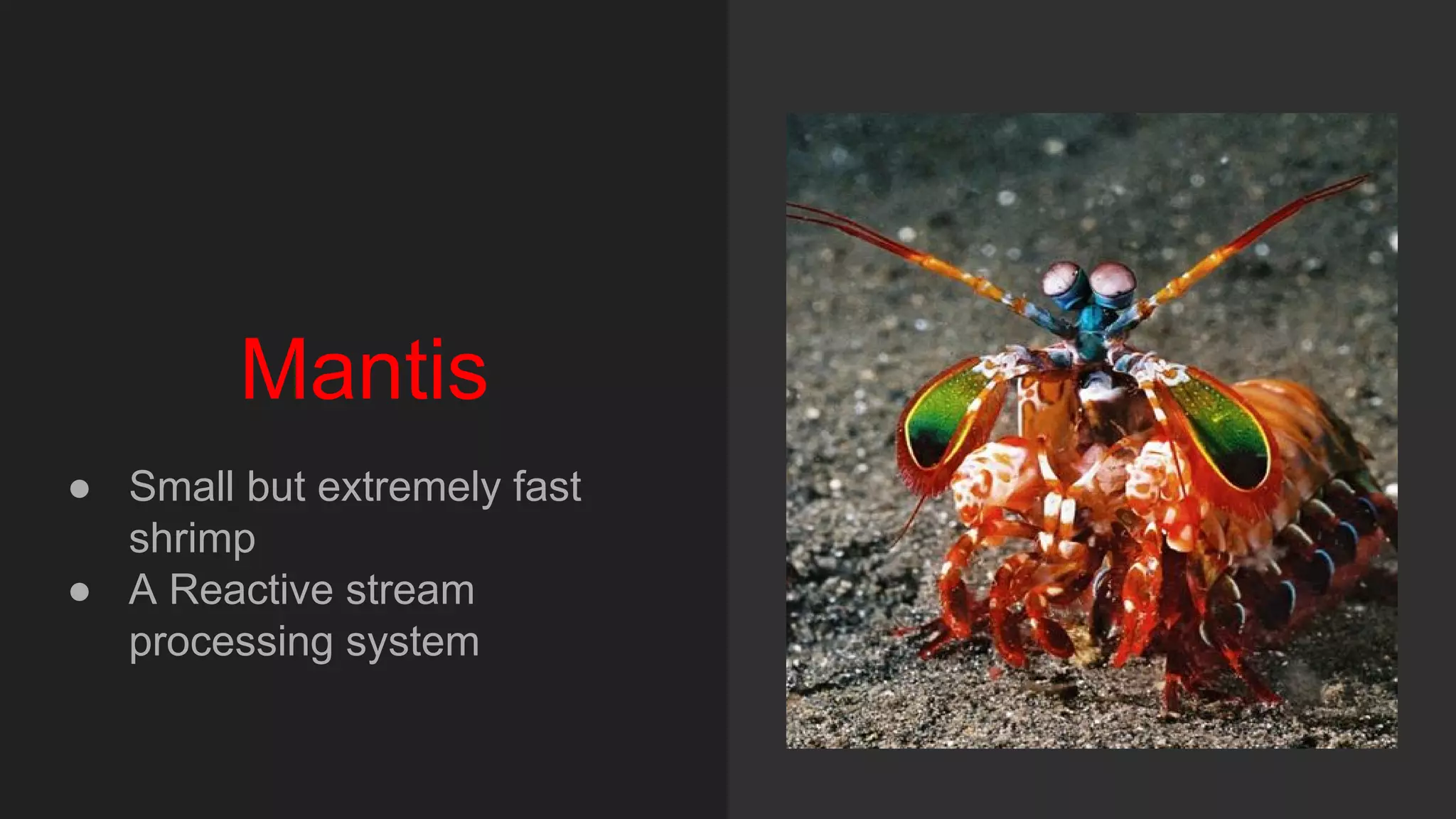 Mantis
● Small but extremely fast
shrimp
● A Reactive stream
processing system
 