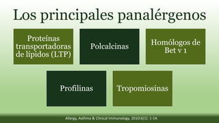 Los principales panalérgenos
son:
Proteínas
transportadoras
de lípidos (LTP)
Polcalcinas
Homólogos de
Bet v 1
Profilinas Tropomiosinas
Allergy, Asthma & Clinical Immunology. 2010:6(1): 1-14.
 