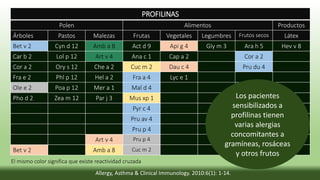 PROFILINAS
Polen Alimentos Productos
Árboles Pastos Malezas Frutas Vegetales Legumbres Frutos secos Látex
Bet v 2 Cyn d 12 Amb a 8 Act d 9 Api g 4 Gly m 3 Ara h 5 Hev v 8
Car b 2 Lol p 12 Art v 4 Ana c 1 Cap a 2 Cor a 2
Cor a 2 Ory s 12 Che a 2 Cuc m 2 Dau c 4 Pru du 4
Fra e 2 Phl p 12 Hel a 2 Fra a 4 Lyc e 1
Ole e 2 Poa p 12 Mer a 1 Mal d 4
Pho d 2 Zea m 12 Par j 3 Mus xp 1
Pyr c 4
Pru av 4
Pru p 4
Art v 4 Pru p 4
Bet v 2 Amb a 8 Cuc m 2
Allergy, Asthma & Clinical Immunology. 2010:6(1): 1-14.
El mismo color significa que existe reactividad cruzada
Los pacientes
sensibilizados a
profilinas tienen
varias alergias
concomitantes a
gramíneas, rosáceas
y otros frutos
 