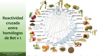 Reactividad
cruzada
entre
homólogos
de Bet v 1
J. Kleine-Tebbe, T. Jakob (eds.), Molecular
Allergy Diagnostics. 2017.
 