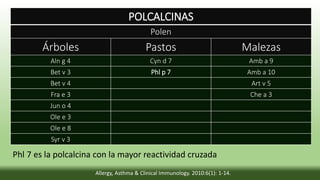 POLCALCINAS
Polen
Árboles Pastos Malezas
Aln g 4 Cyn d 7 Amb a 9
Bet v 3 Phl p 7 Amb a 10
Bet v 4 Art v 5
Fra e 3 Che a 3
Jun o 4
Ole e 3
Ole e 8
Syr v 3
Allergy, Asthma & Clinical Immunology. 2010:6(1): 1-14.
Phl 7 es la polcalcina con la mayor reactividad cruzada
 