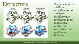 Estructura
:
• Pliegue común de
4 hélices
estabilizadas por
4 enlaces
disulfuro que
forman un túnel
hidrofóbico
central que
interactúa con
moléculas
lipídicas
Allergy, Asthma & Clinical Immunology. 2010:6(1): 1-14.
 