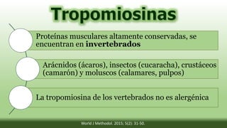 Proteínas musculares altamente conservadas, se
encuentran en invertebrados
Arácnidos (ácaros), insectos (cucaracha), crustáceos
(camarón) y moluscos (calamares, pulpos)
La tropomiosina de los vertebrados no es alergénica
World J Methodol. 2015; 5(2): 31-50.
 