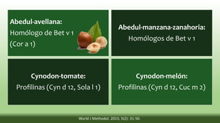 Abedul-avellana:
Homólogo de Bet v 1
(Cor a 1)
Abedul-manzana-zanahoria:
Homólogos de Bet v 1
Cynodon-tomate:
Profilinas (Cyn d 12, Sola l 1)
Cynodon-melón:
Profilinas (Cyn d 12, Cuc m 2)
World J Methodol. 2015; 5(2): 31-50.
 