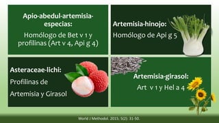 Apio-abedul-artemisia-
especias:
Homólogo de Bet v 1 y
profilinas (Art v 4, Api g 4)
Artemisia-hinojo:
Homólogo de Api g 5
Asteraceae-lichi:
Profilinas de
Artemisia y Girasol
Artemisia-girasol:
Art v 1 y Hel a 4
World J Methodol. 2015; 5(2): 31-50.
 