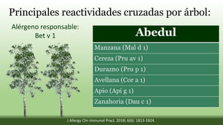 Principales reactividades cruzadas por árbol:
Abedul
Manzana (Mal d 1)
Cereza (Pru av 1)
Durazno (Pru p 1)
Avellana (Cor a 1)
Apio (Api g 1)
Zanahoria (Dau c 1)
Alérgeno responsable:
Bet v 1
J Allergy Clin Immunol Pract. 2018; 6(6): 1813-1824.
 