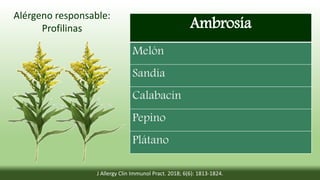 Ambrosía
Melón
Sandía
Calabacín
Pepino
Plátano
Alérgeno responsable:
Profilinas
J Allergy Clin Immunol Pract. 2018; 6(6): 1813-1824.
 