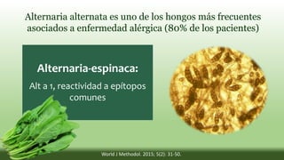 Alternaria alternata es uno de los hongos más frecuentes
asociados a enfermedad alérgica (80% de los pacientes)
Alternaria-espinaca:
Alt a 1, reactividad a epítopos
comunes
World J Methodol. 2015; 5(2): 31-50.
 