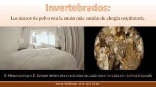 Los ácaros de polvo son la causa más común de alergia respiratoria
D. Pteronyssinus y D. farinae tienen alta reactividad cruzada, pero limitada con Blomia tropicalis
World J Methodol. 2015; 5(2): 31-50.
 