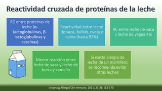 RC entre proteínas de
leche (α-
lactoglobulinas, β-
lactoglobulinas y
caseínas)
Reactividad entre leche
de vaca, búfalo, oveja y
cabra (hasta 92%)
RC entre leche de vaca
y leche de yegua 4%
Menor reacción entre
leche de vaca y leche de
burra y camello
Si existe alergia de
leche de un mamífero
se recomienda evitar
otras leches
J Investig Allergol Clin Immuno. 2011; 21(3): 162-170
 
