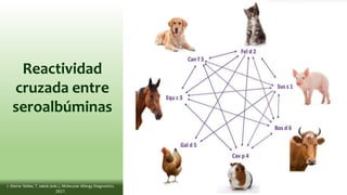 Reactividad
cruzada entre
seroalbúminas
J. Kleine-Tebbe, T. Jakob (eds.), Molecular Allergy Diagnostics.
2017.
 