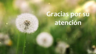 Gracias por su
atención
 