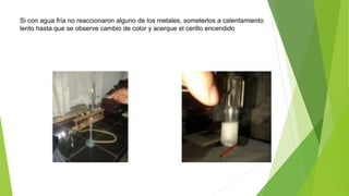 Si con agua fría no reaccionaron alguno de los metales, someterlos a calentamiento 
lento hasta que se observe cambio de color y acerque el cerillo encendido 
 