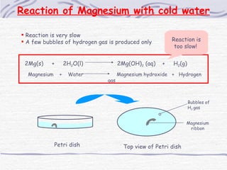 <ul><li>Reaction is very slow </li></ul><ul><li>A few bubbles of hydrogen gas is produced only </li></ul>Reaction of Magne...
